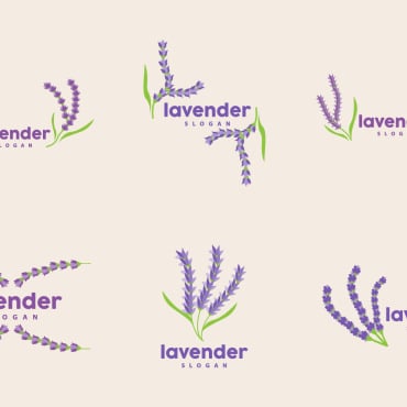 <a class=ContentLinkGreen href=/fr/logo-templates.html>Logo Templates</a></font> lavender fleur 416814