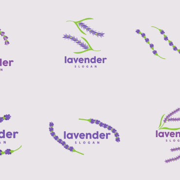 Lavender Flower Logo Templates 416821