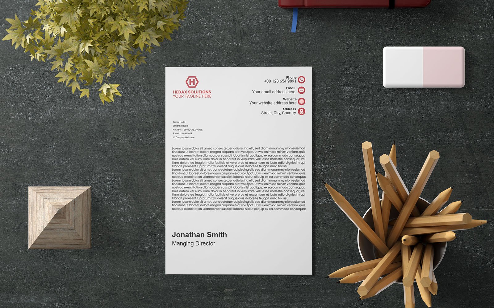 Minimalist Letterhead, Letterhead Sample, Modern Letterhead