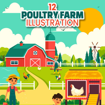Farm Poultry Illustrations Templates 417030