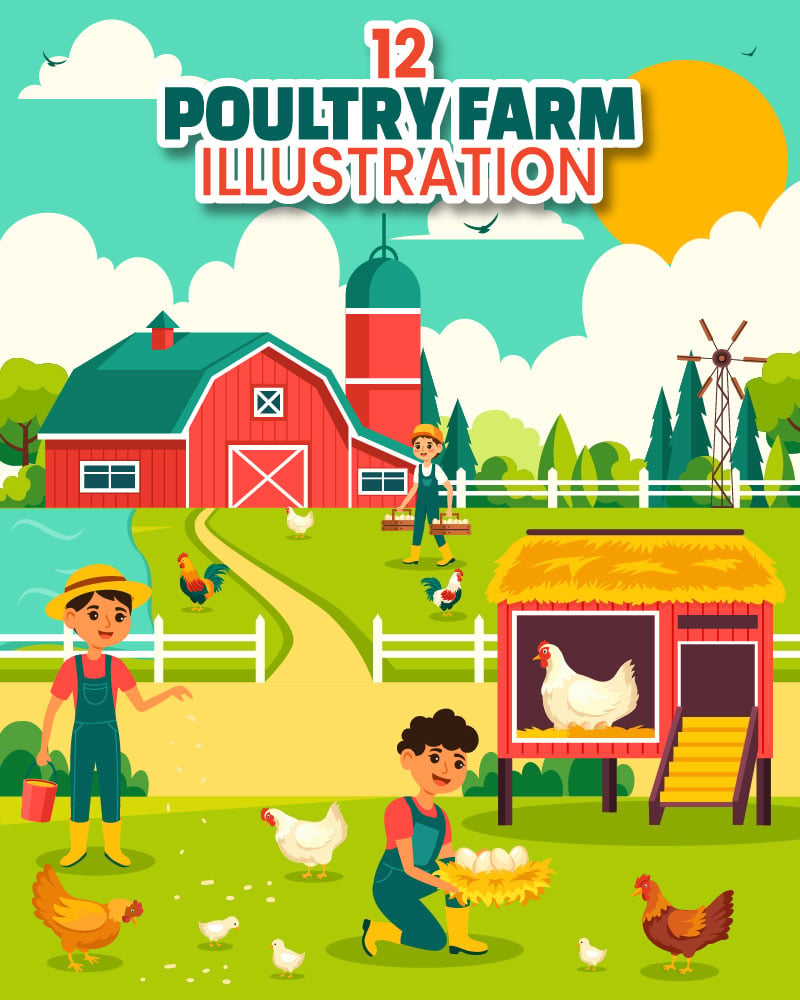 12 Poultry Farm Illustration