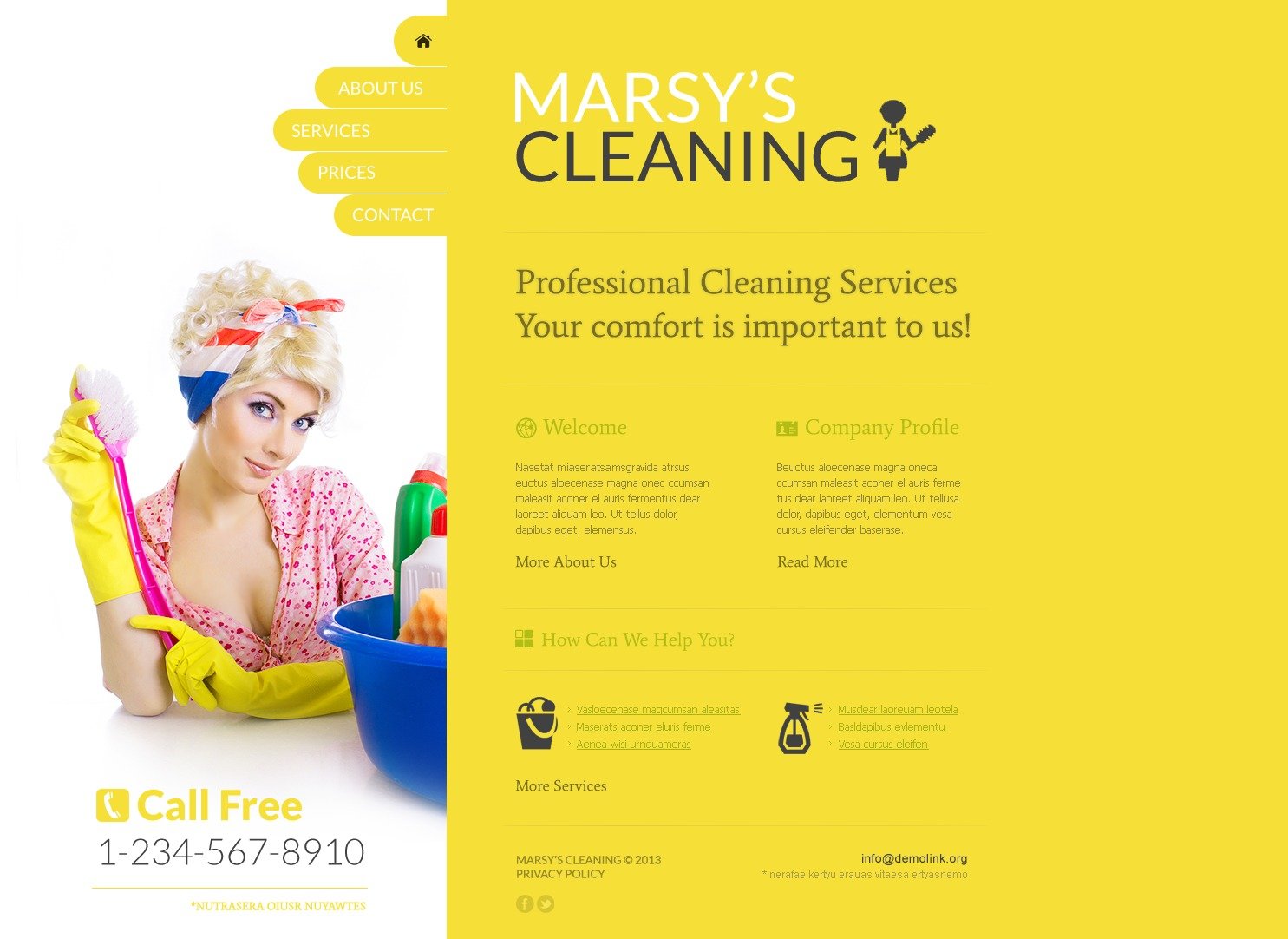 Cleaning Website Template