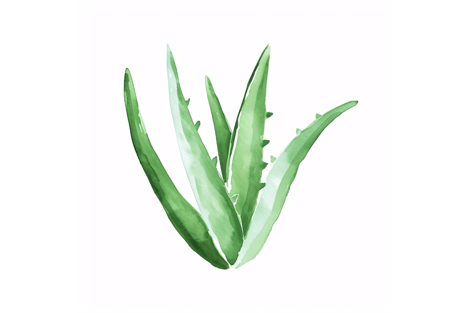 Aloe Vera Leaves Watercolour Style Painting 1