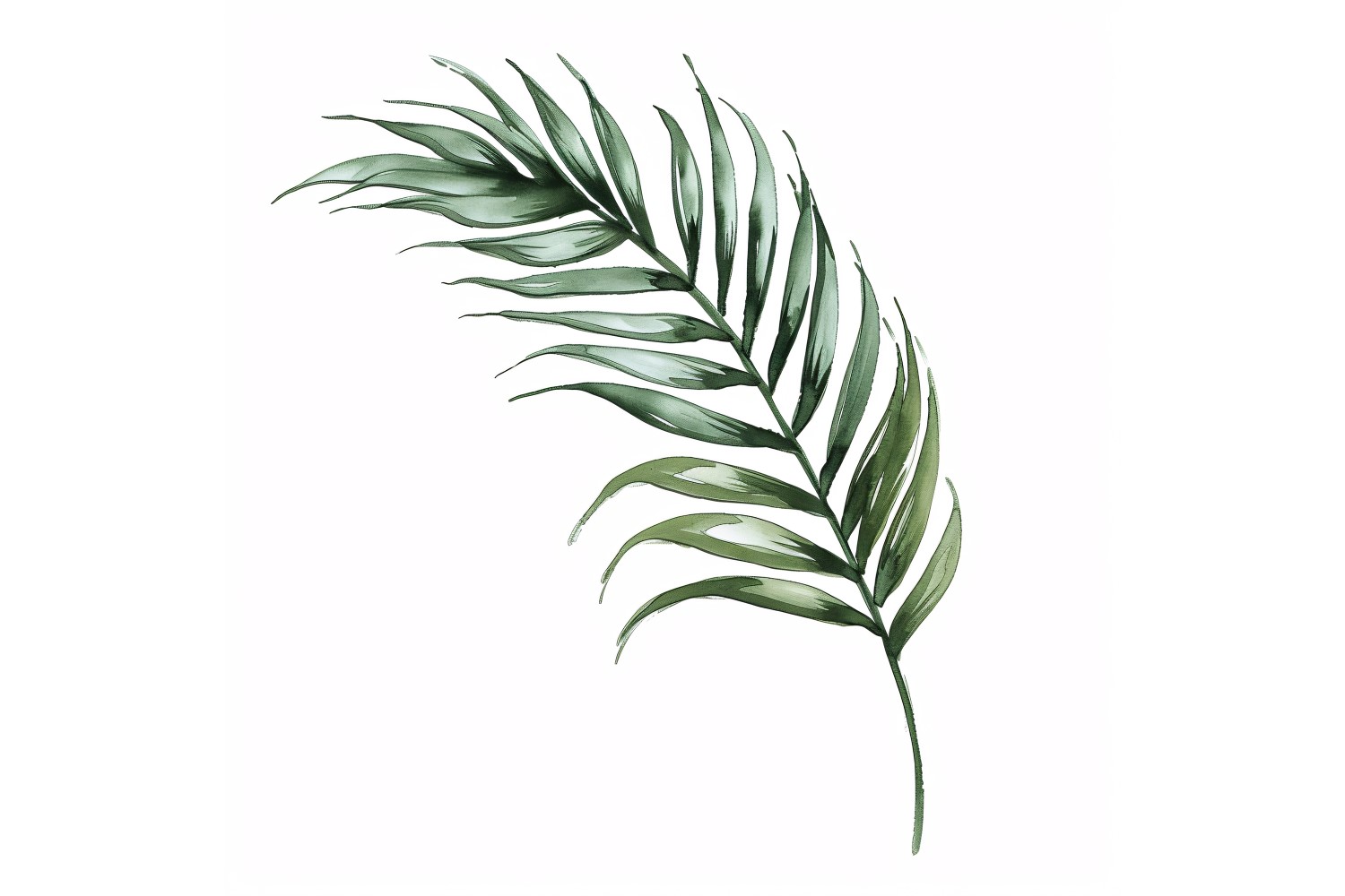 Areca Palm Leaves Watercolour Style Painting 4