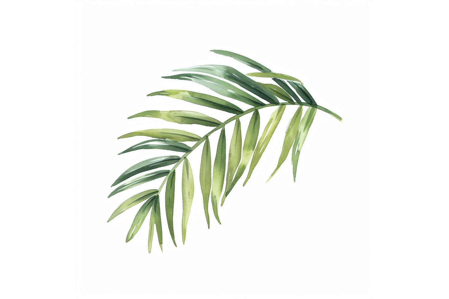 Areca Palm Leaves Watercolour Style Painting 5