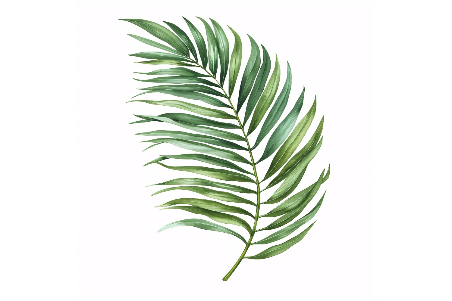 Areca Palm Leaves Watercolour Style Painting 7