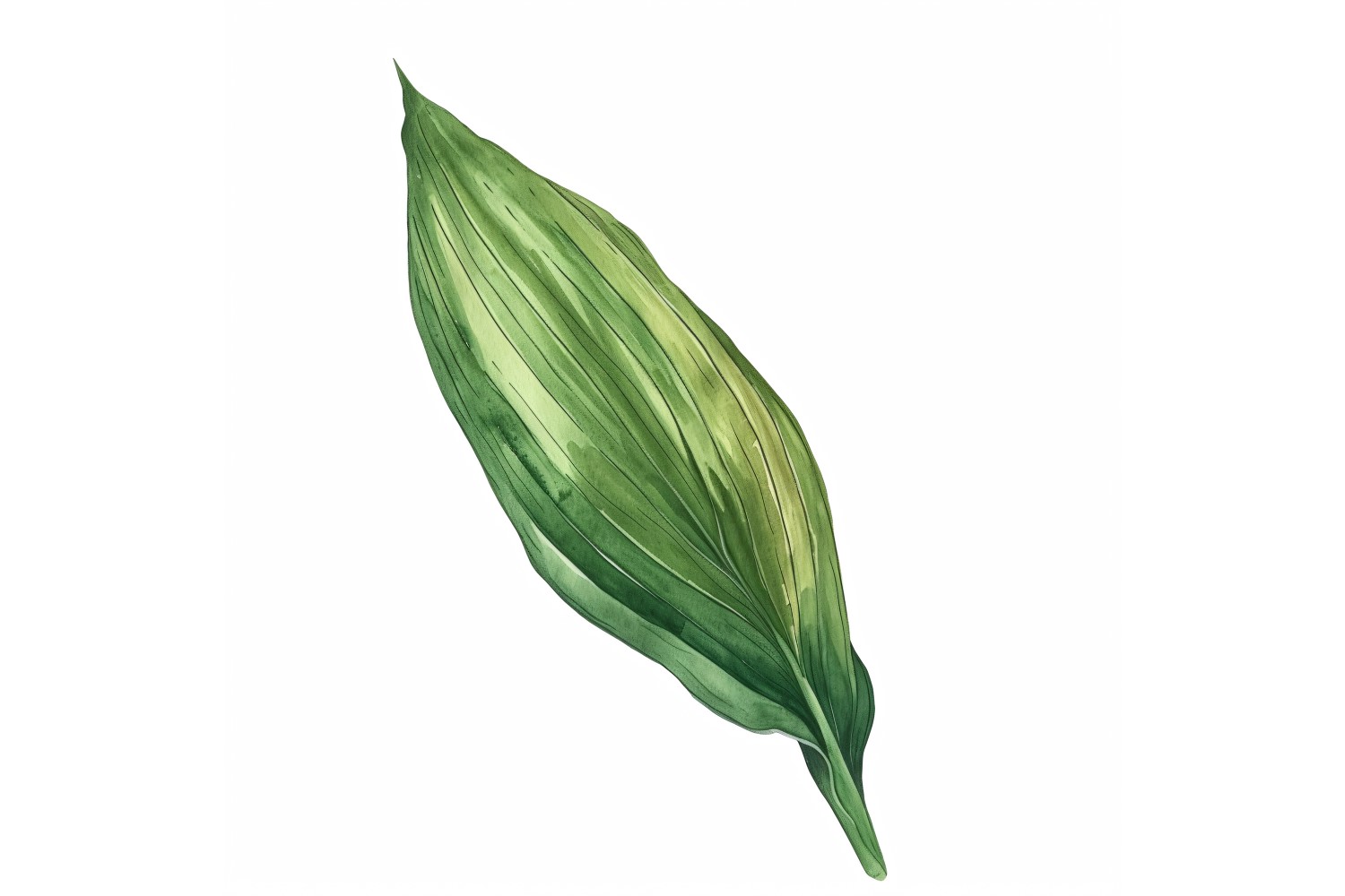 Aspidistra Leaves Watercolour Style Painting 2