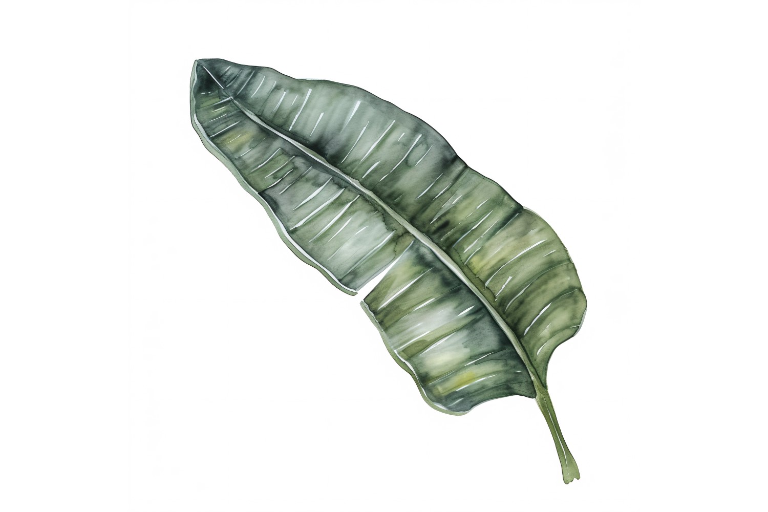 Banana Leaves Watercolour Style Painting 2