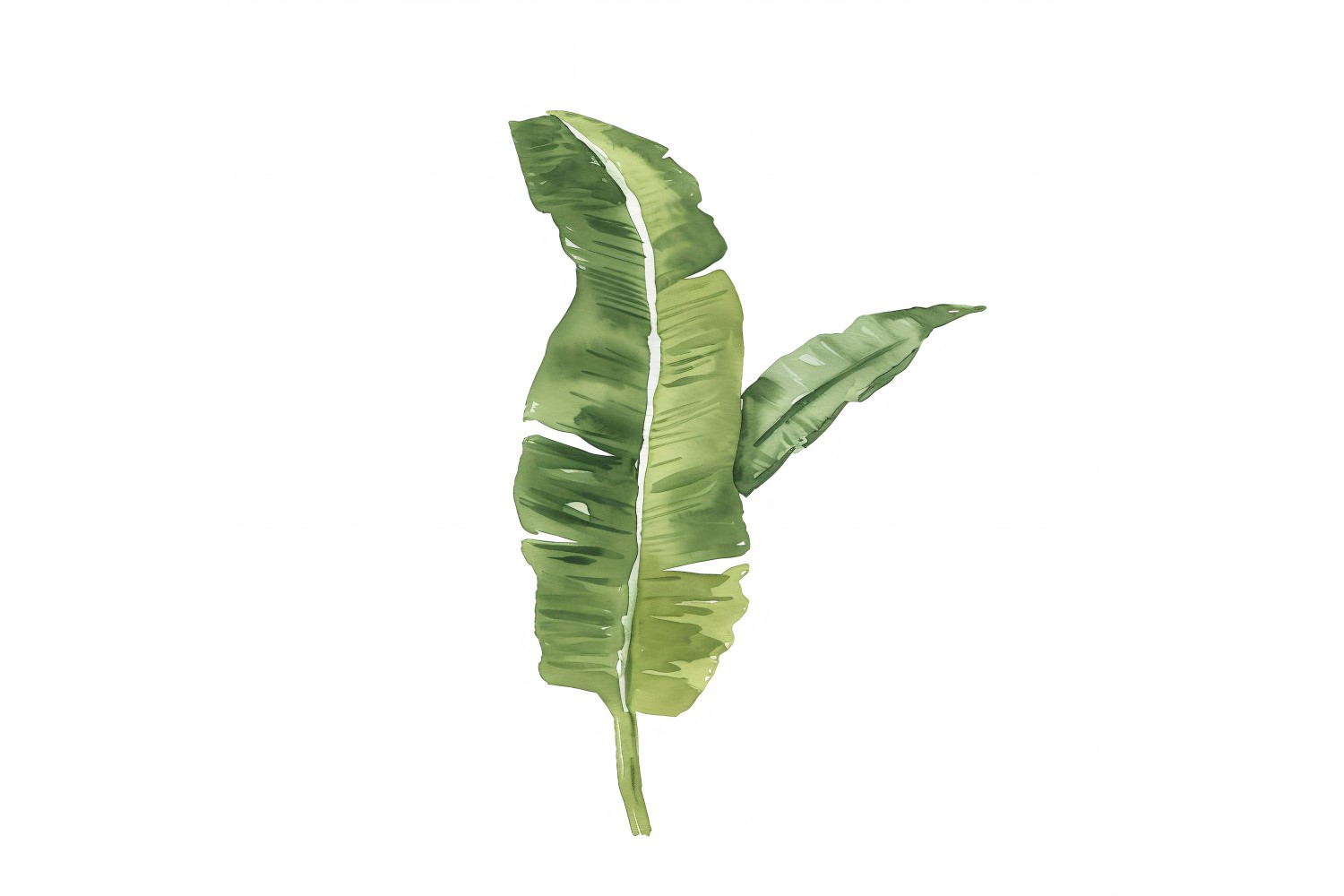 Banana Leaves Watercolour Style Painting 4