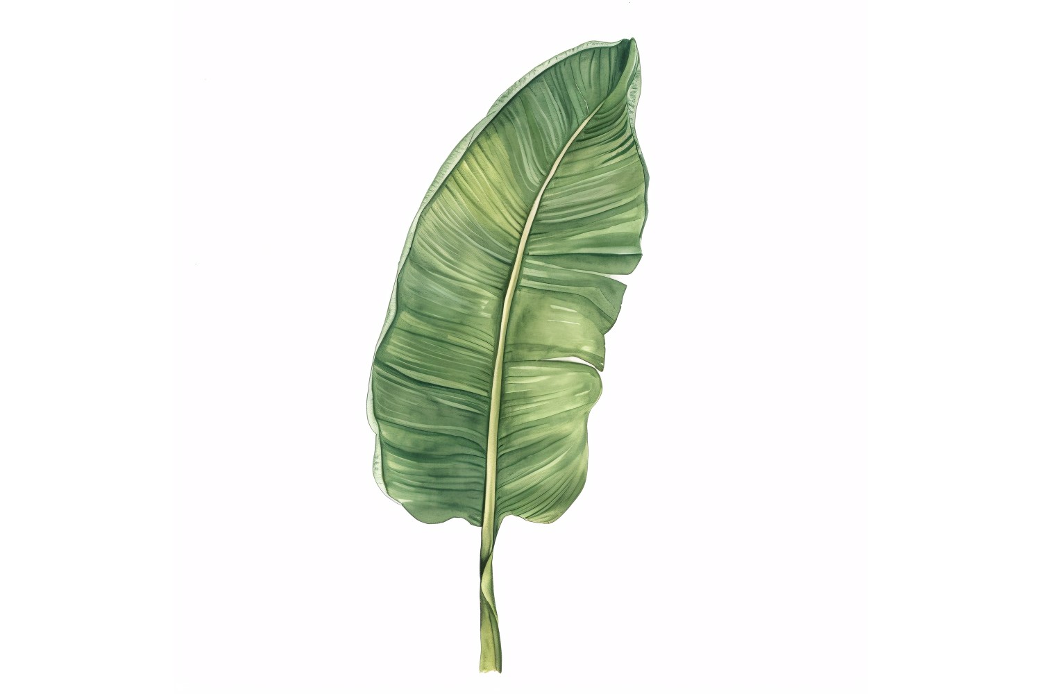 Banana Leaves Watercolour Style Painting .3