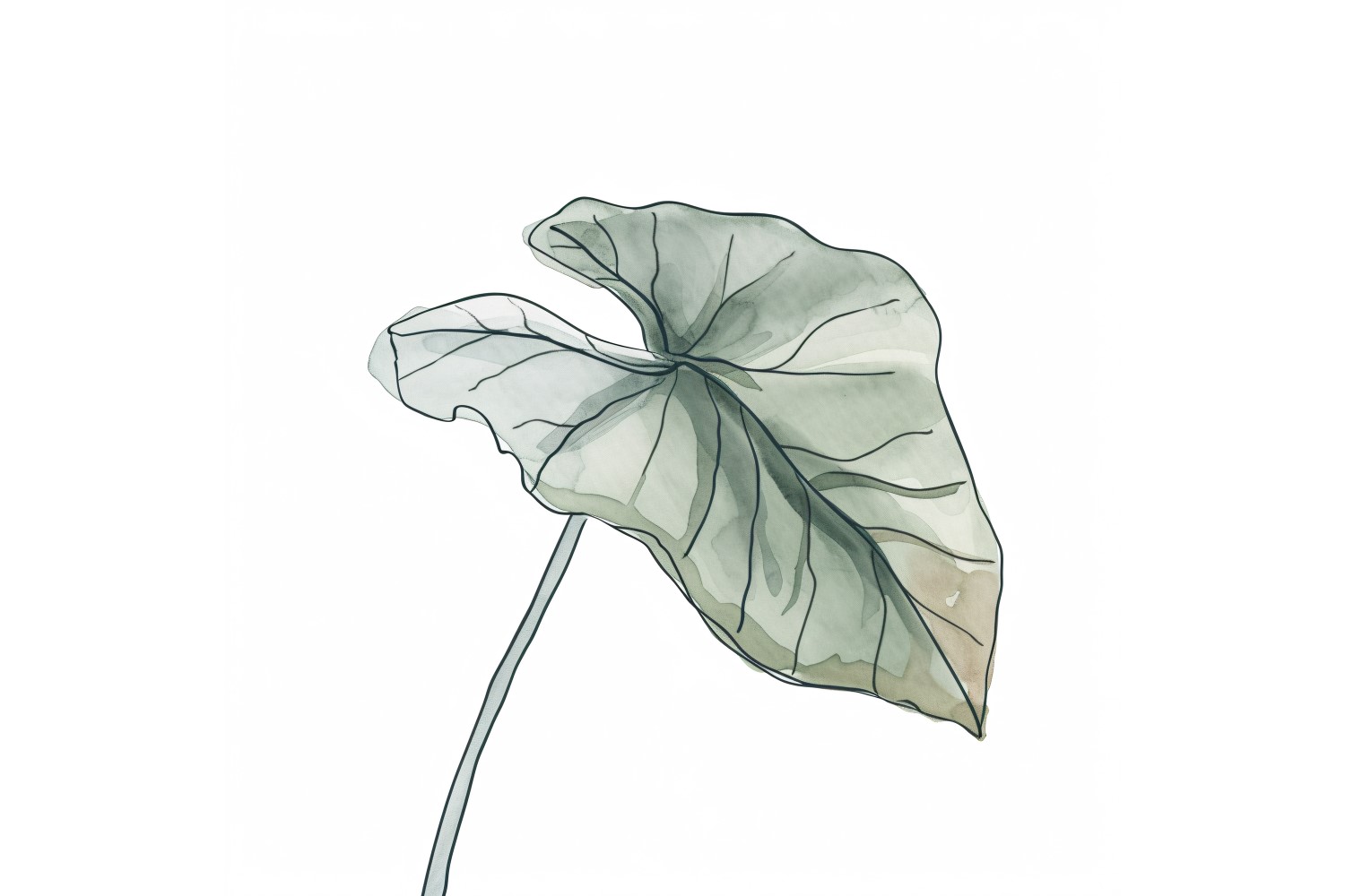 Begonia Leaves Watercolour Style Painting 4