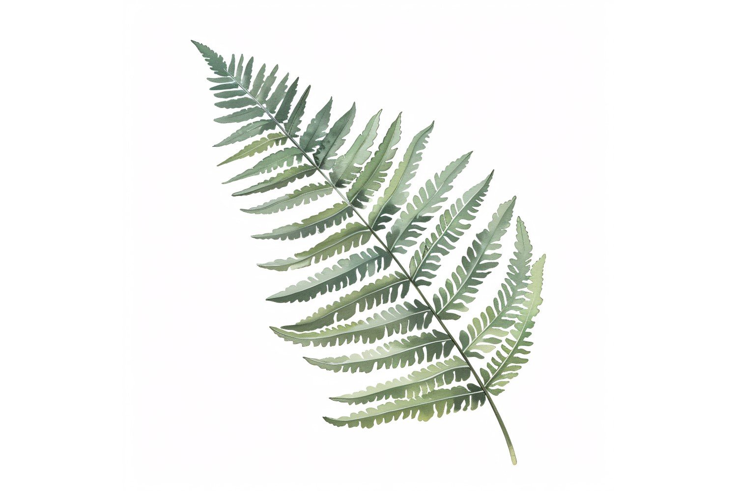 Boston Fern Leaves Watercolour Style Painting 4