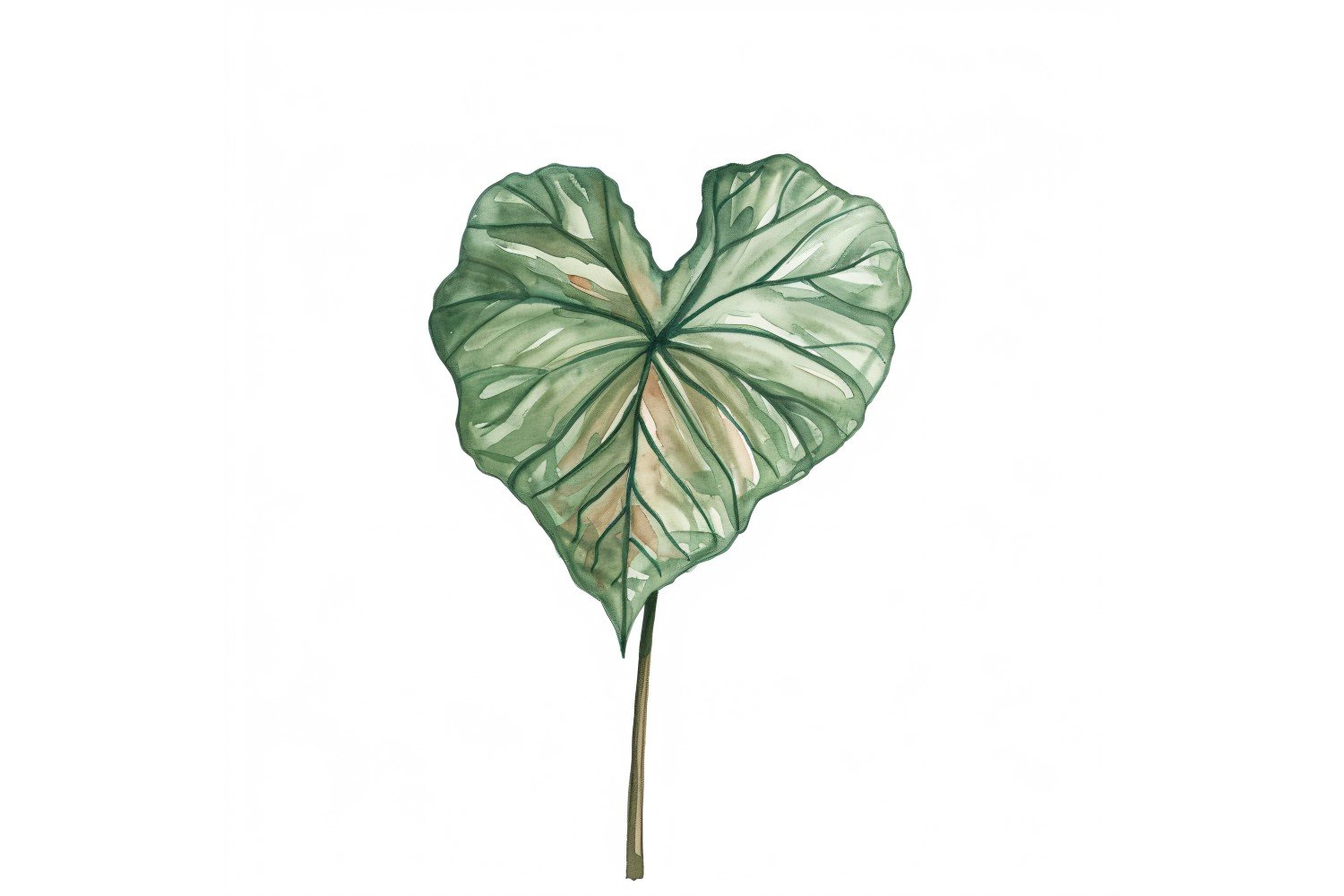 Caladium Leaves Watercolour Style Painting 1