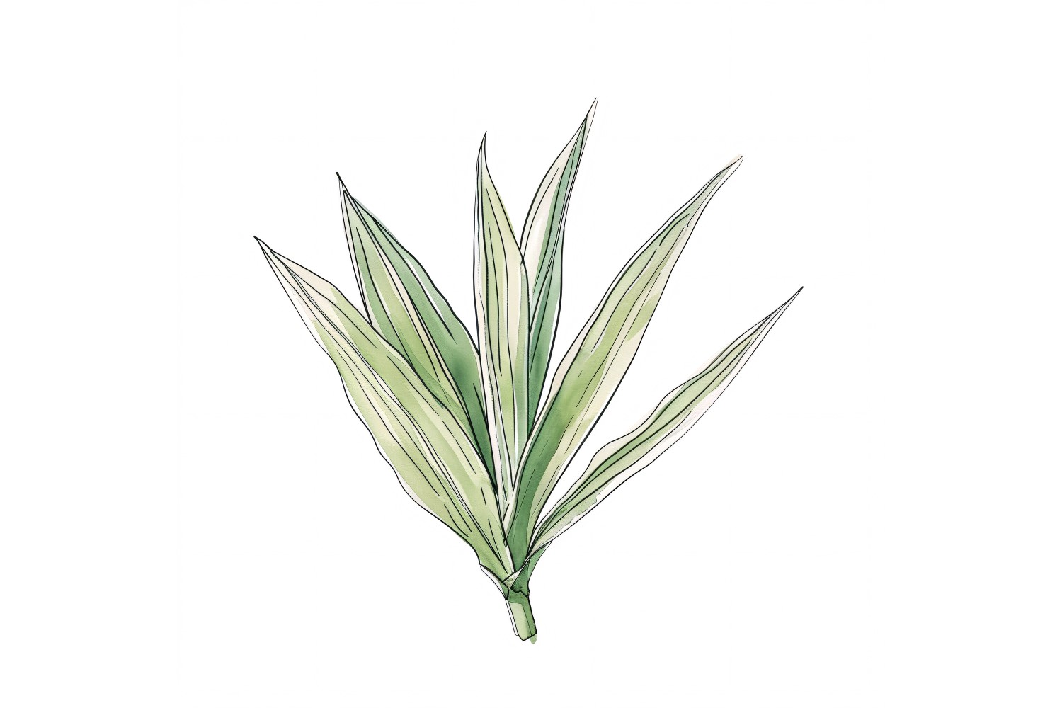 Dracaena Leaves Watercolour Style Painting 4