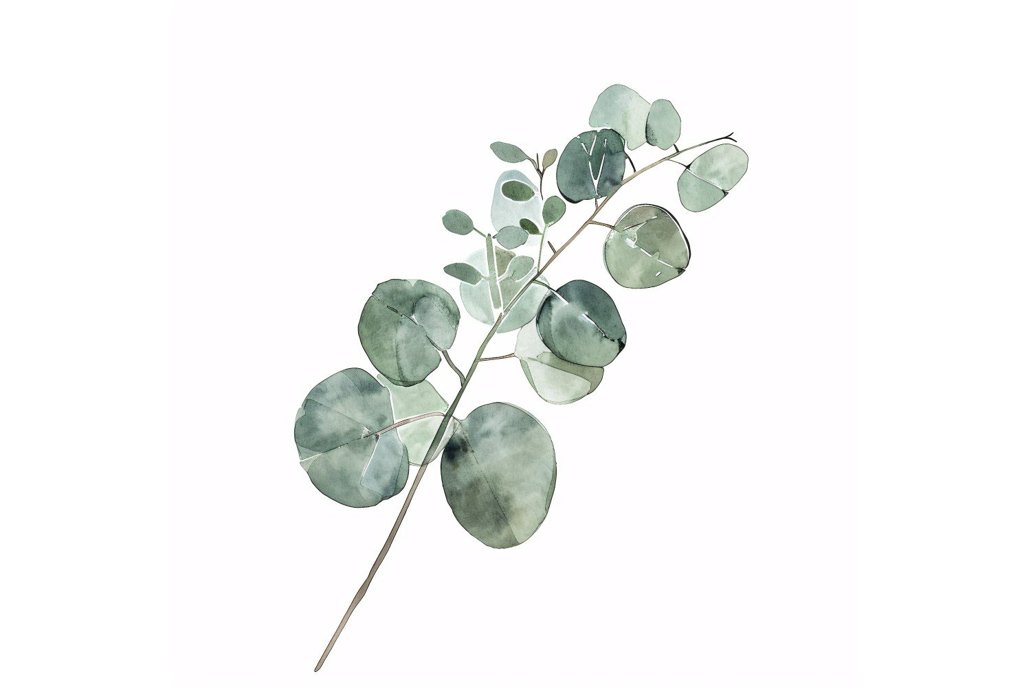 Eucalyptus Leaves Watercolour Style Painting 4