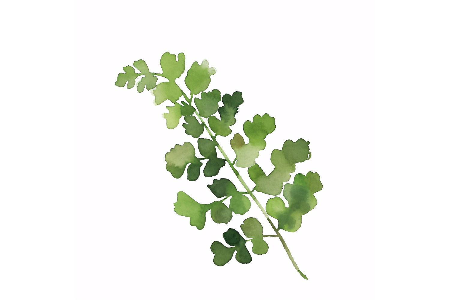 Maidenhair Leaves Watercolour Style Painting 4