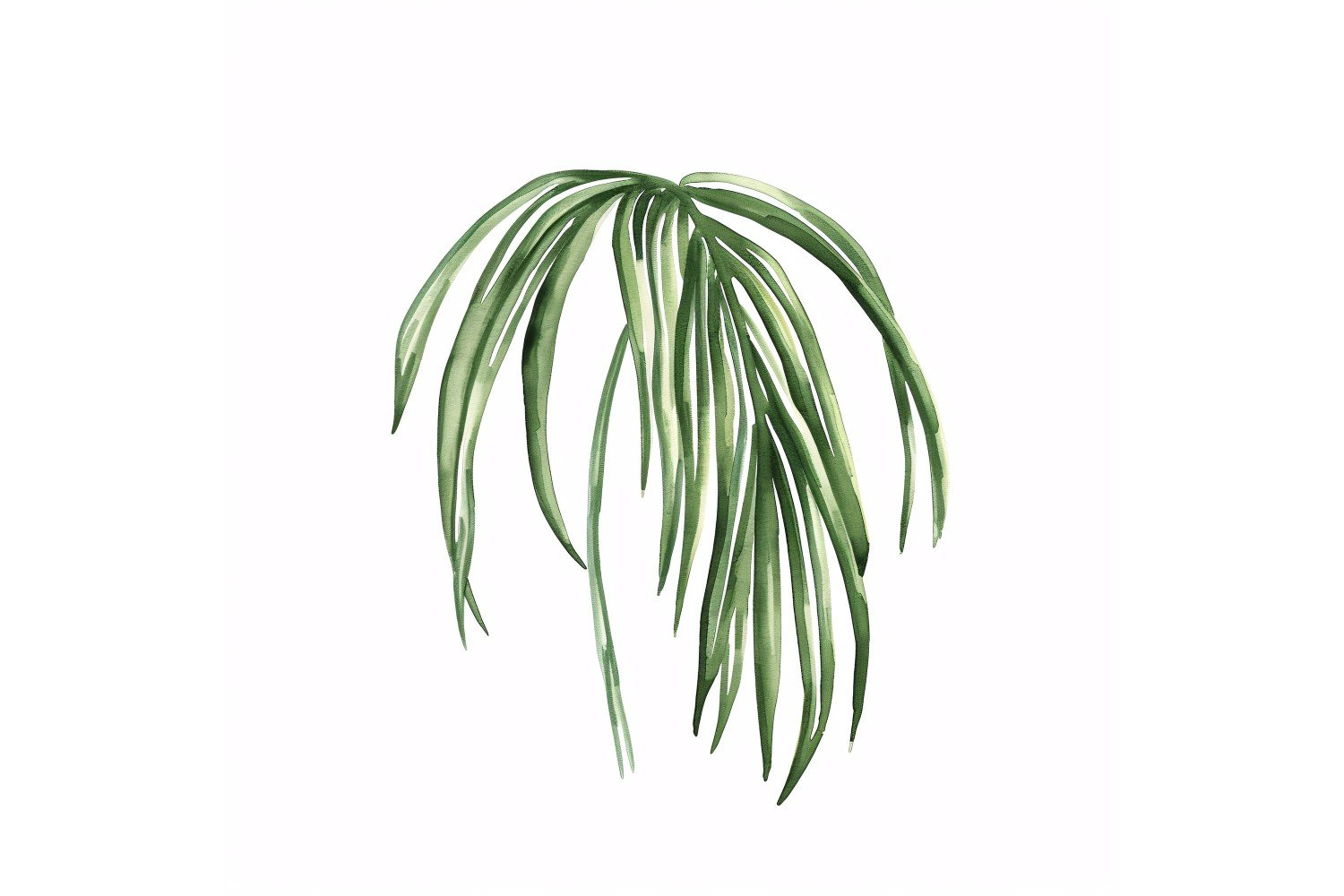 ponytail palm leaf  Watercolour Style Painting 1