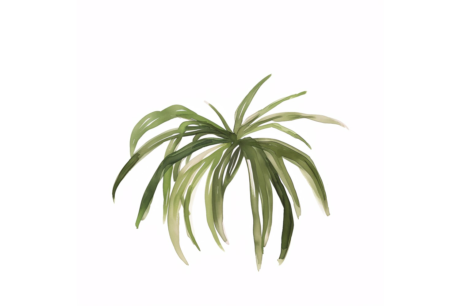 ponytail palm leaf  Watercolour Style Painting 2