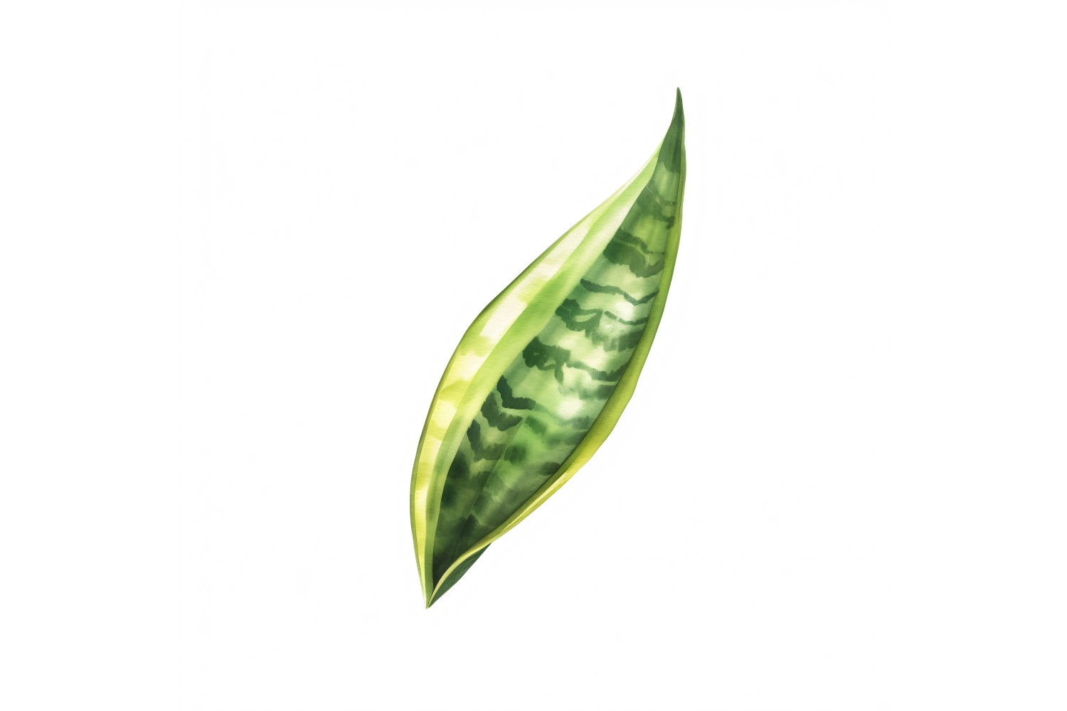 Snake Leaves Watercolour Style Painting 4