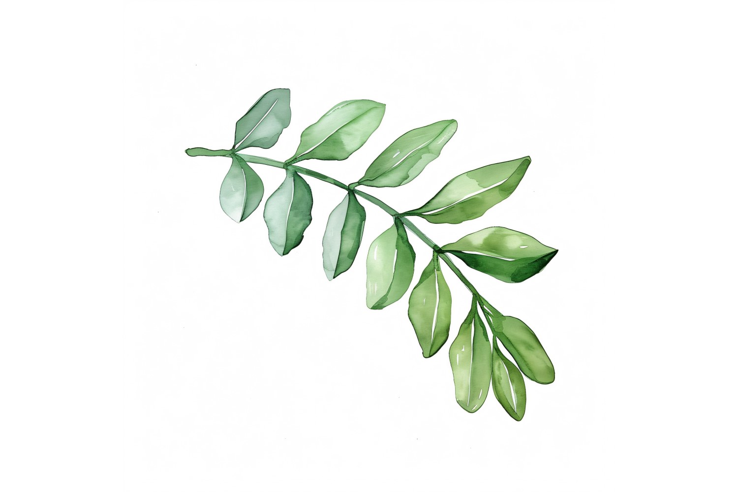 ZZ Plant Leaves Watercolour Style Painting 4