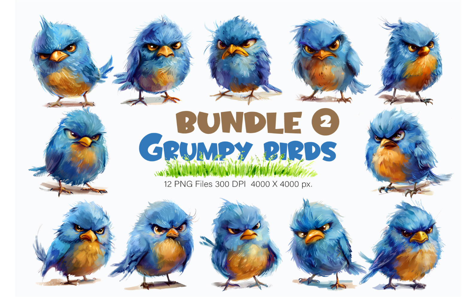 Grumpy cute birds 02. TShirt Sticker.