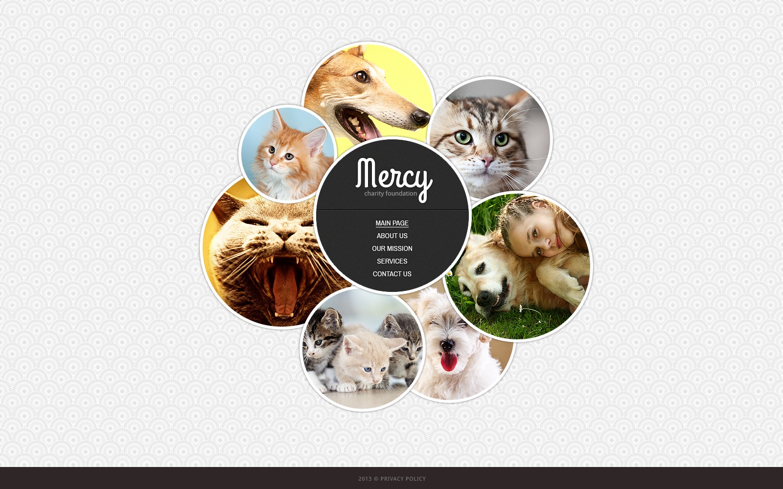 Animal Shelter Website Template