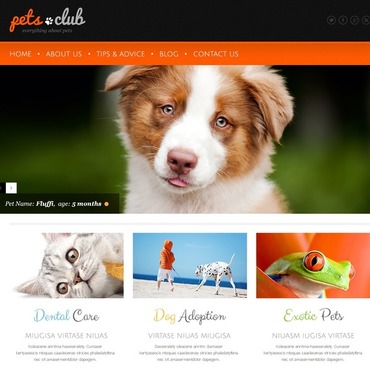 Club Dogs WordPress Themes 44159