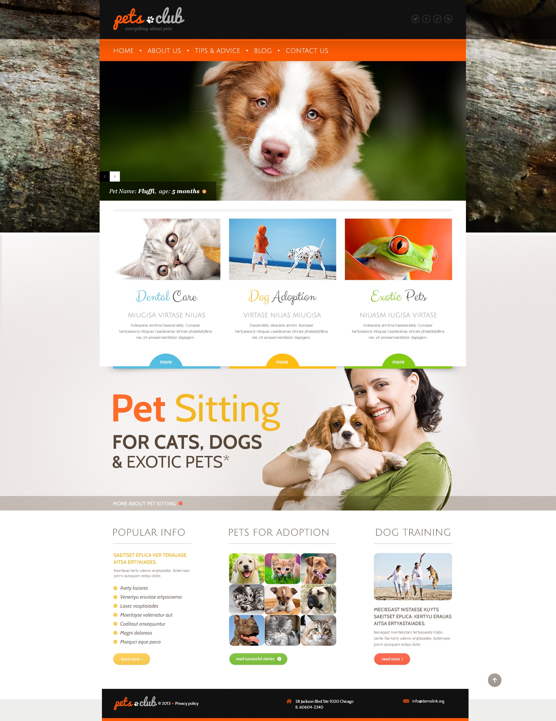 White Animals & Pets WordPress Theme