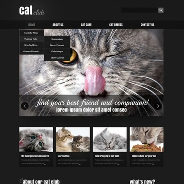 Club Animal Responsive Website Templates 44278
