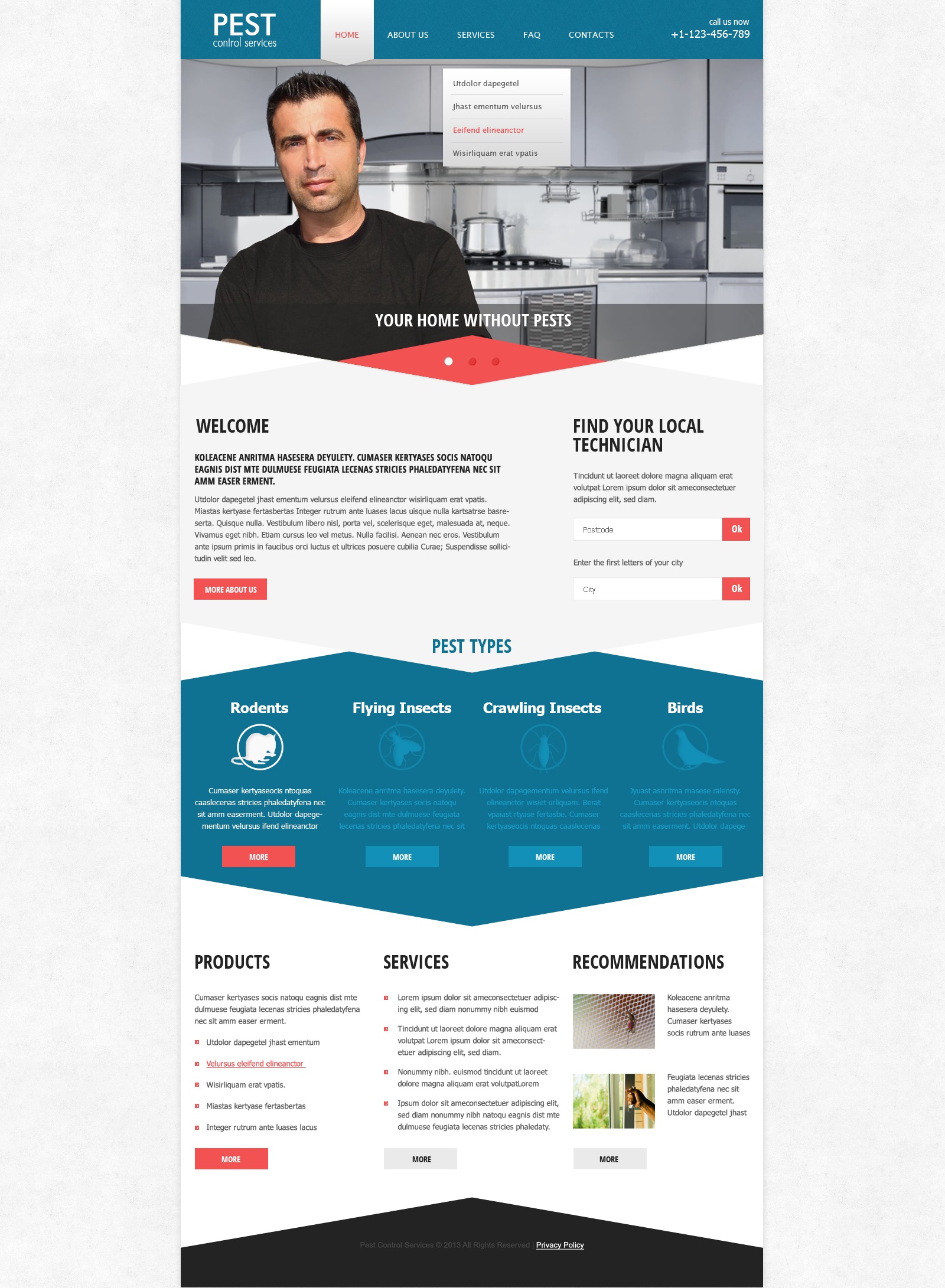 Pest Control Responsive Website Template