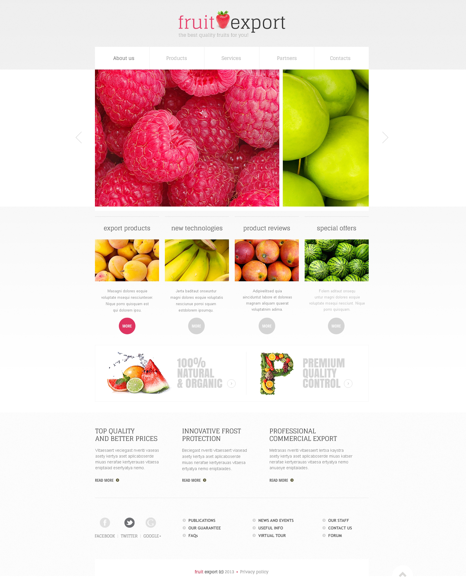 Fruit Responsive Website Template