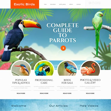 Birds Bird Responsive Website Templates 46369