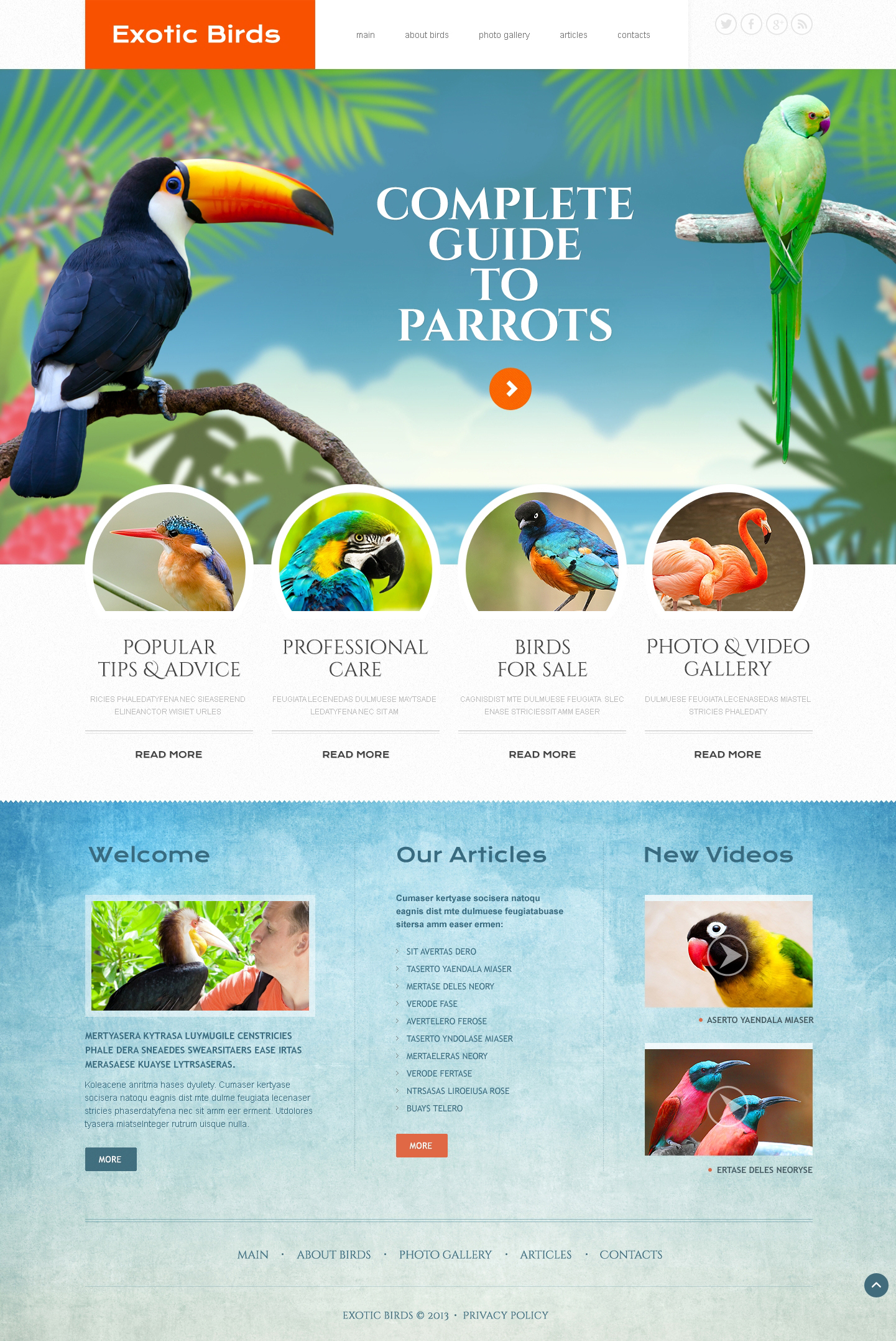 Birds Responsive Website Template