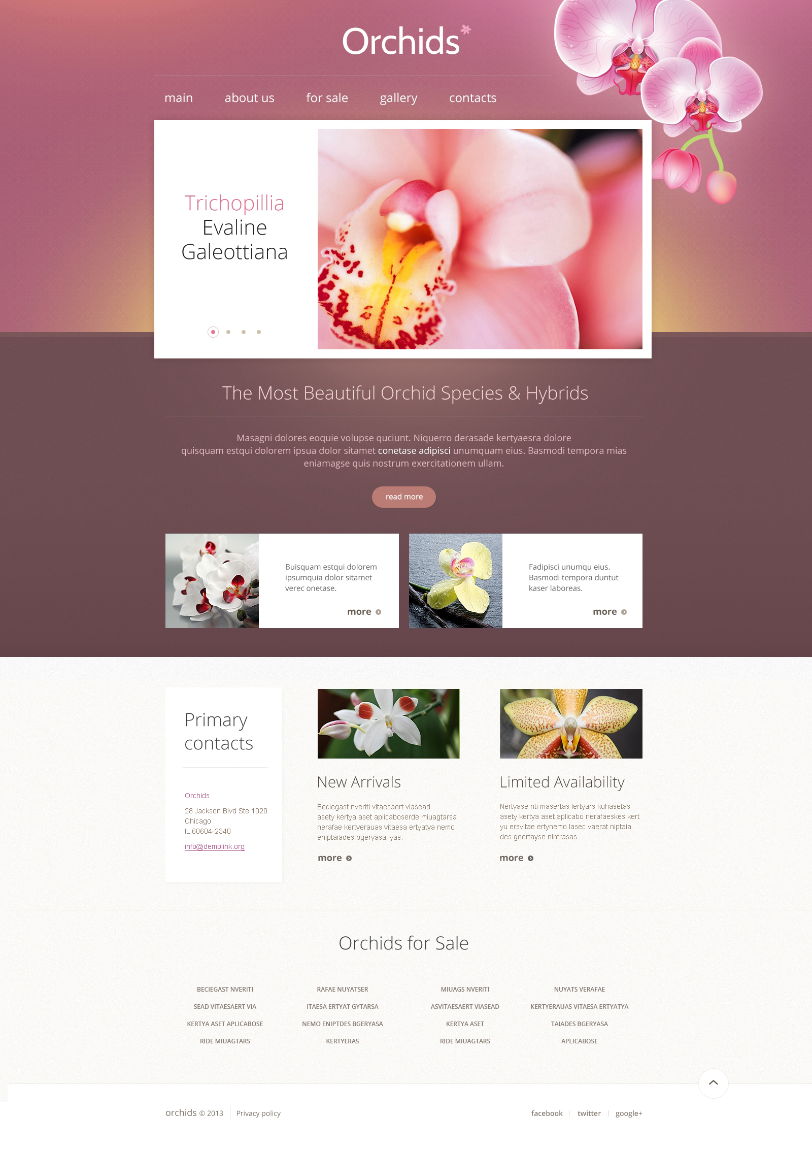 Flowers Responsive Website Template