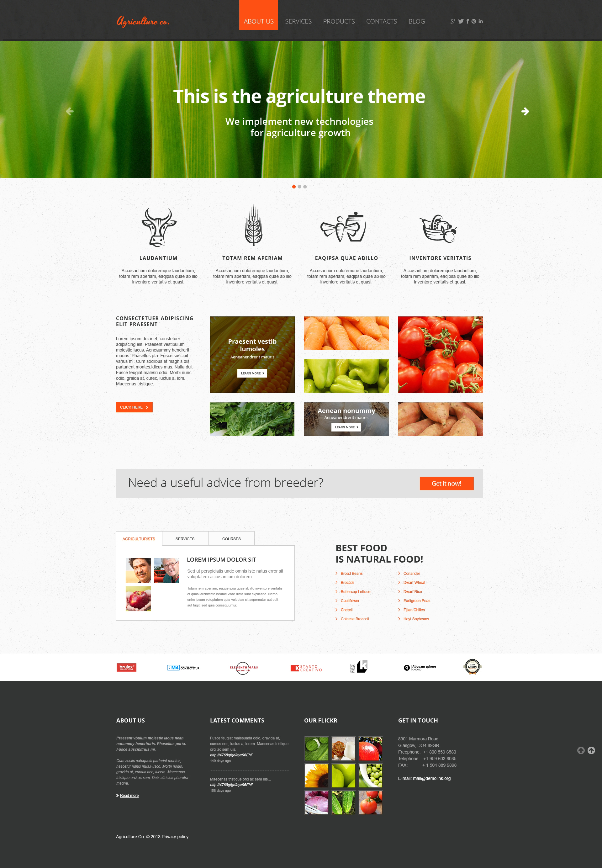 Fruit Responsive Website Template