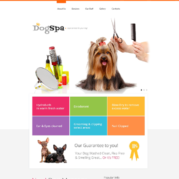 Spa Cosmetic Responsive Website Templates 47636