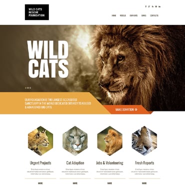 Cats Wild Responsive Website Templates 47932