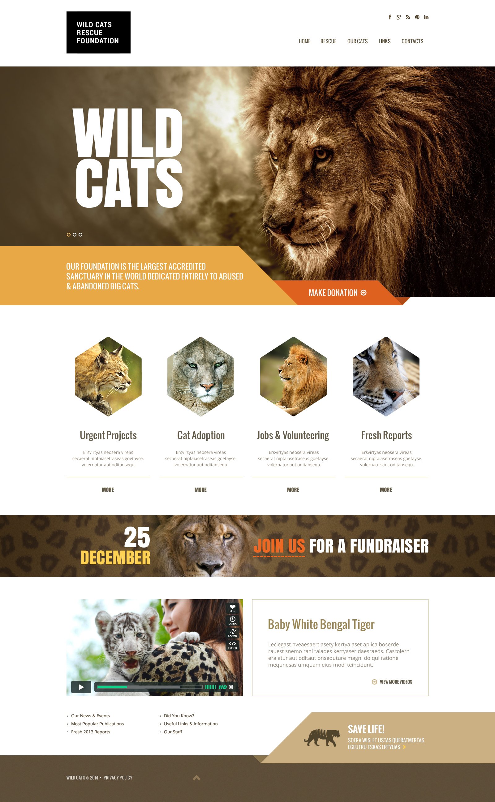 Wild Life Responsive Website Template