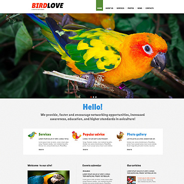 Exotic Birds Joomla Templates 47950