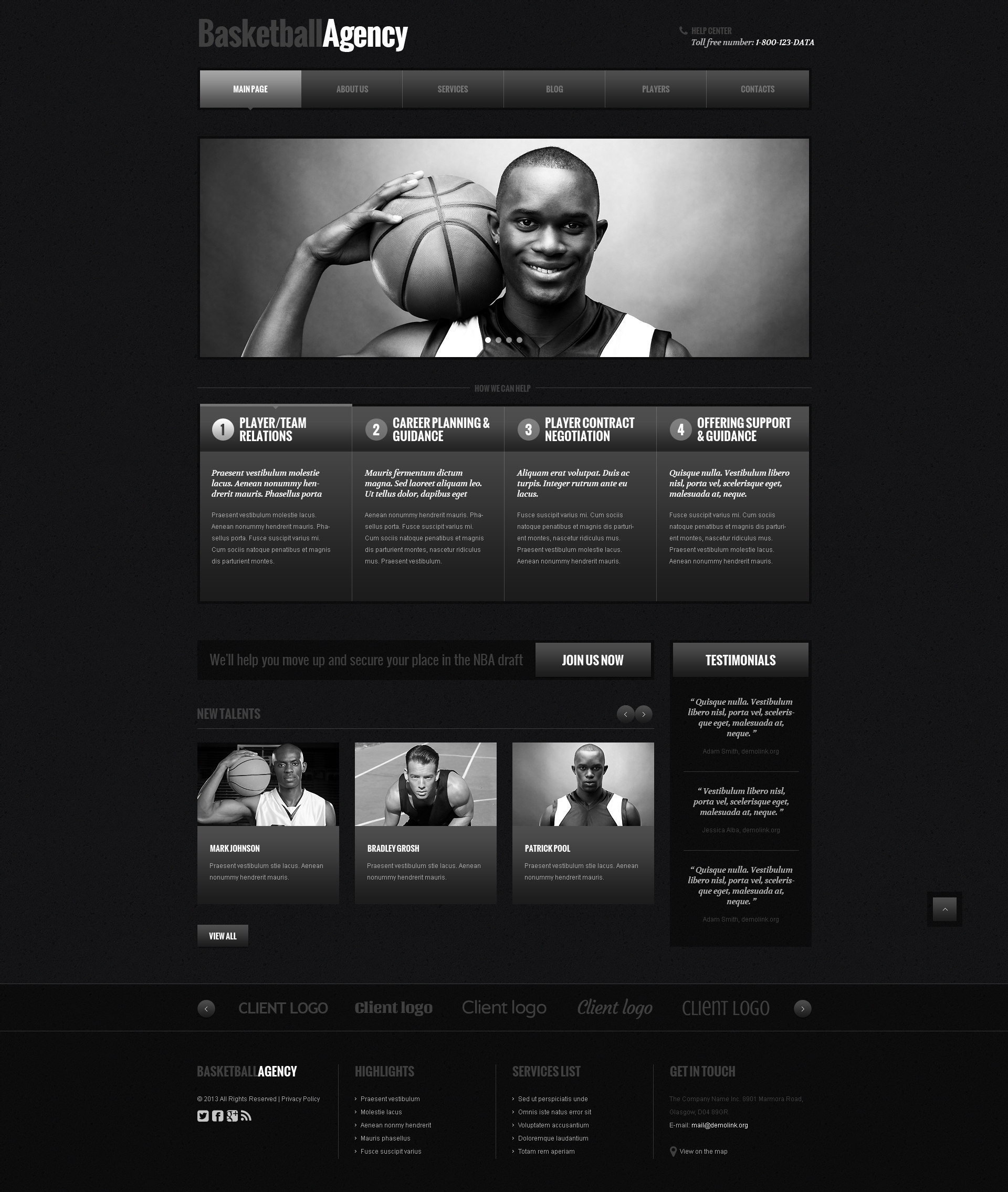 WordPress Themes