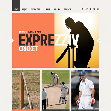 Cricket Club Responsive Website Templates 48223