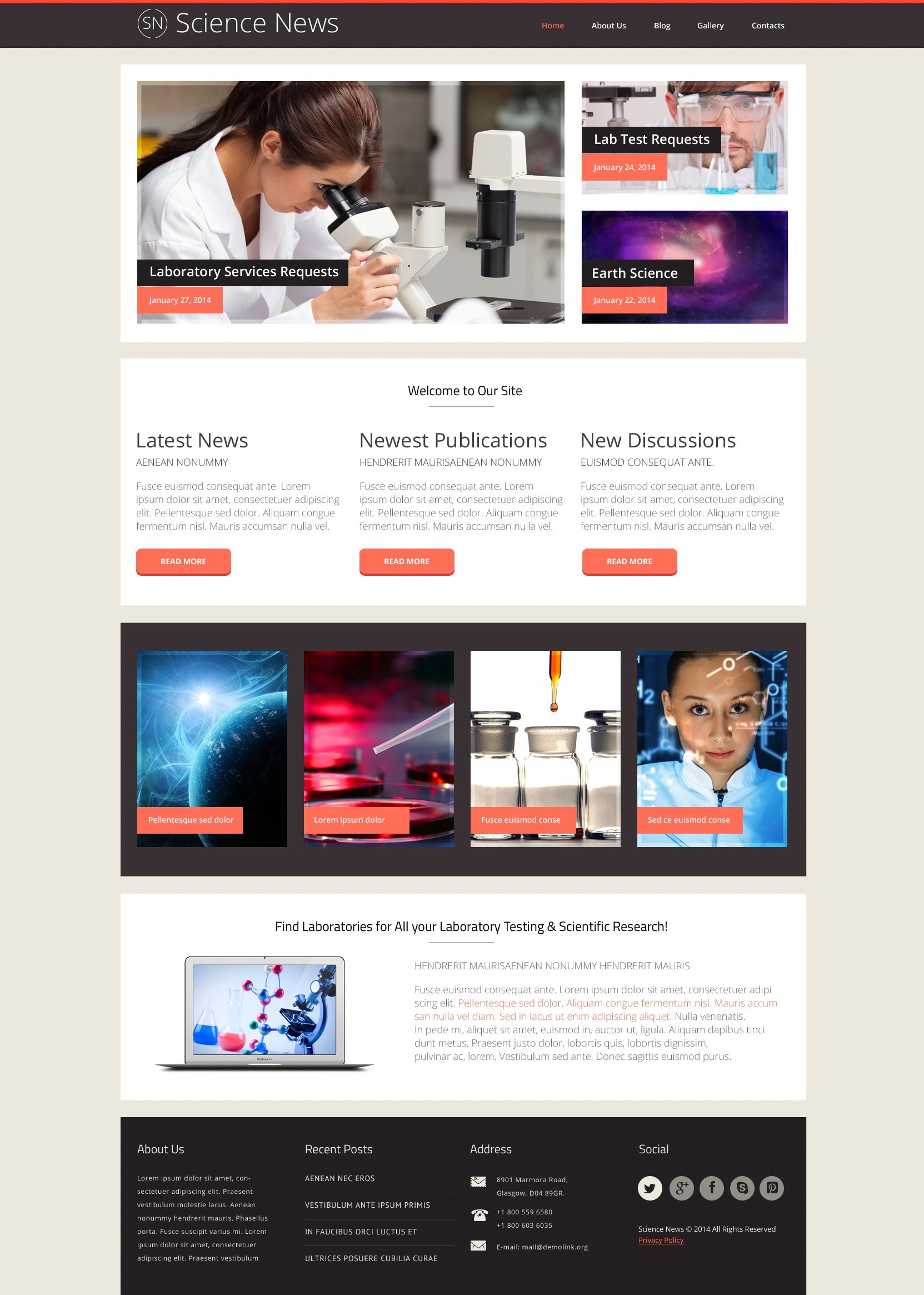 WordPress Themes