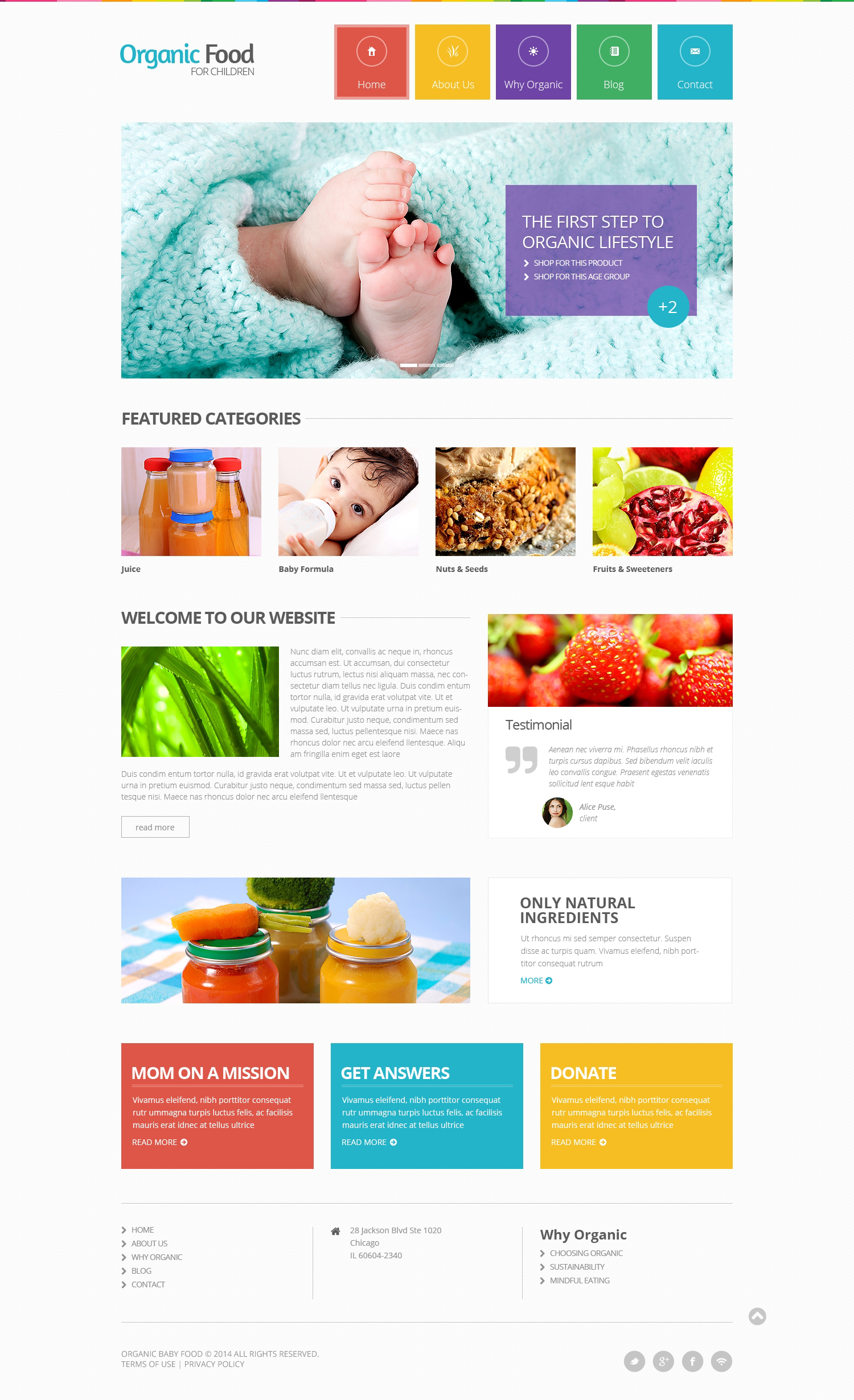 Food Store Responsive Website Template