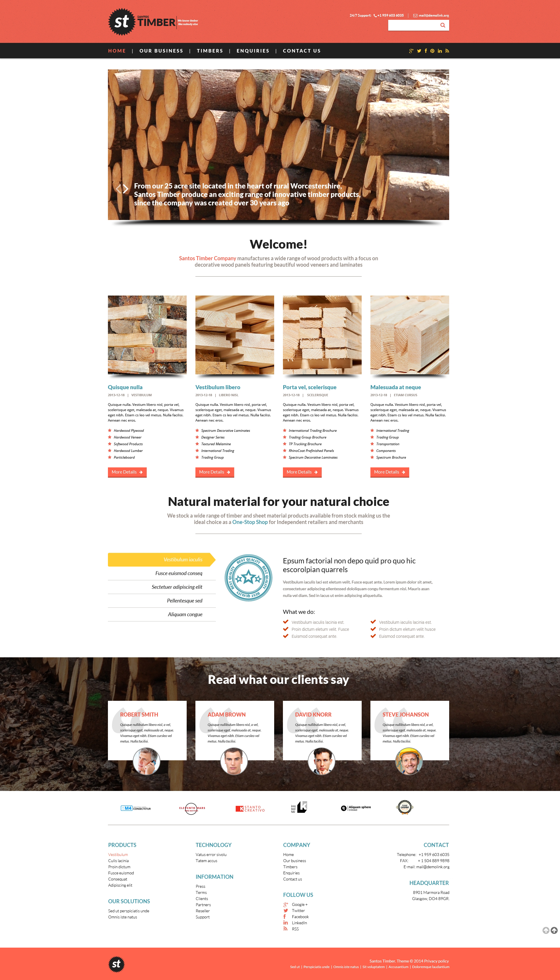 Timber Responsive Website Template