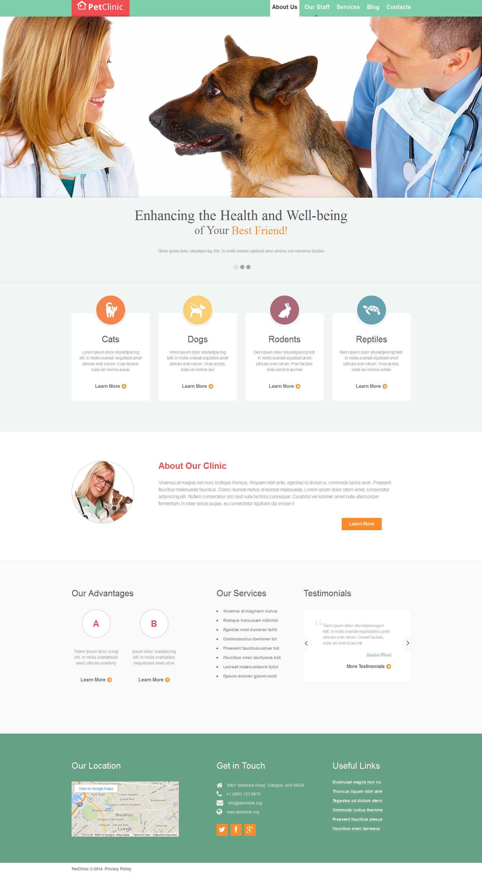 Vet Responsive Website Template