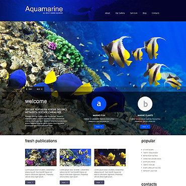 Aquarium Aqua WordPress Themes 51296