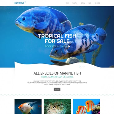Fishes Animal Responsive Website Templates 51730
