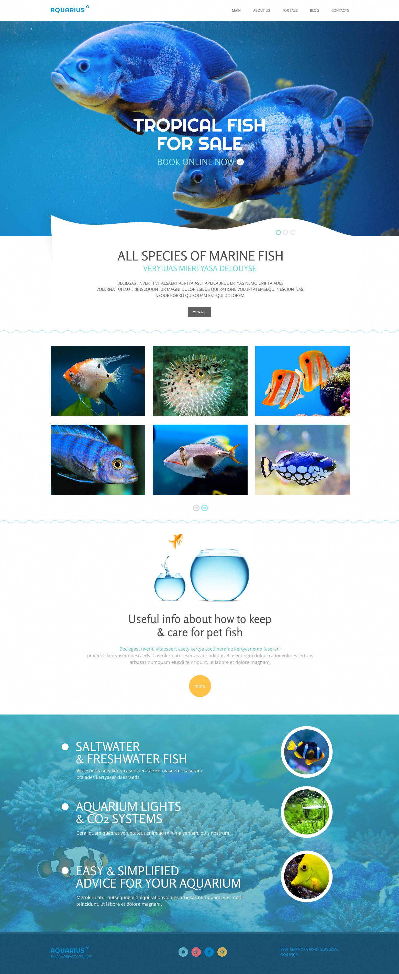Fish Responsive Website Template