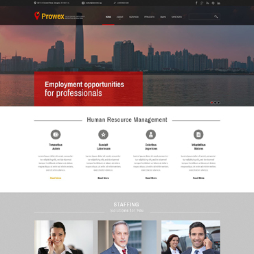 Search Finder WordPress Themes 51738