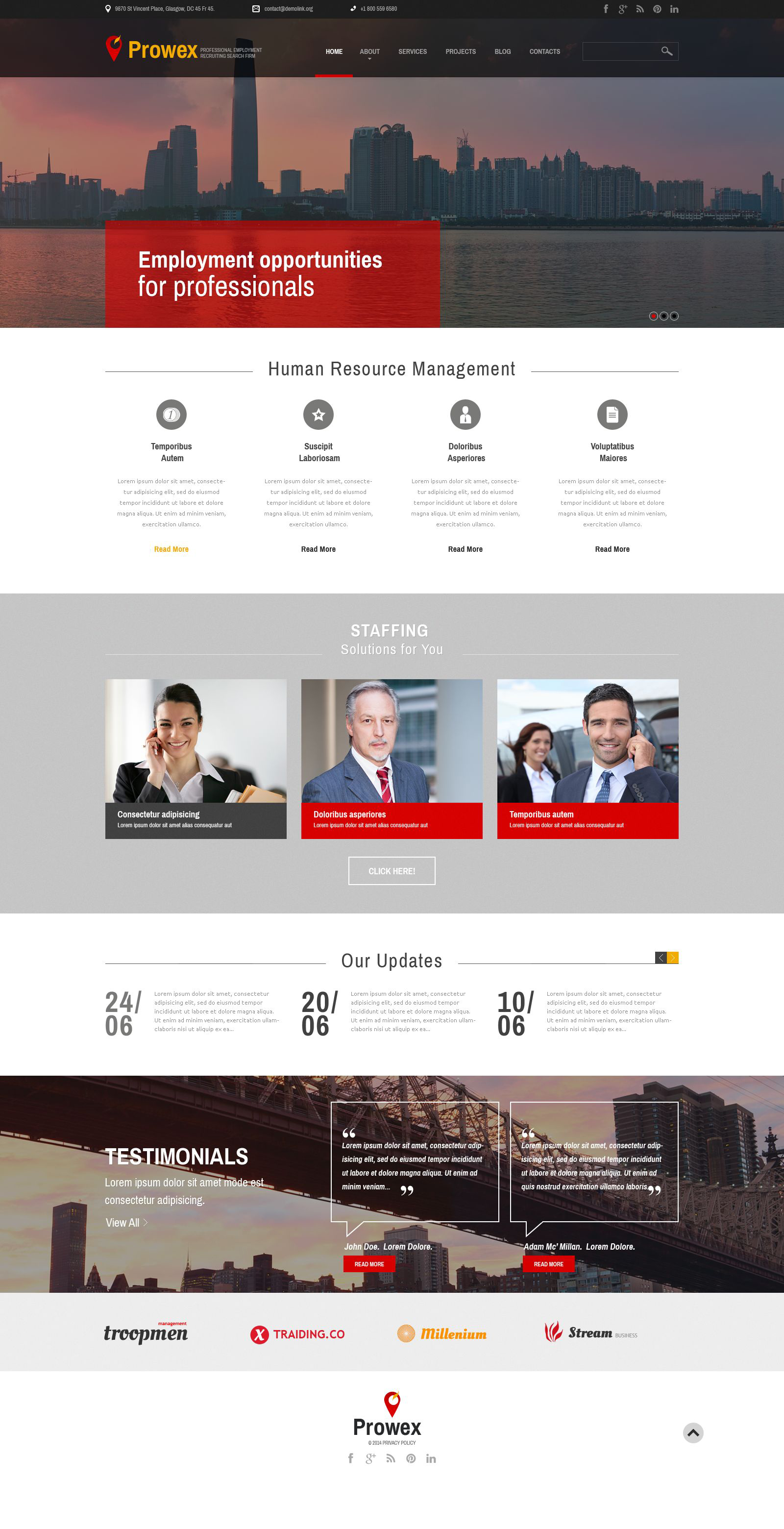 Professional Employment WordPress Theme